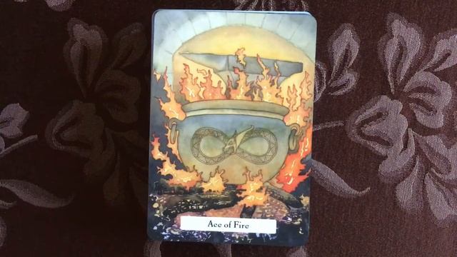 The Witches’ Wisdom Tarot (Walkthrough) смотреть онлайн