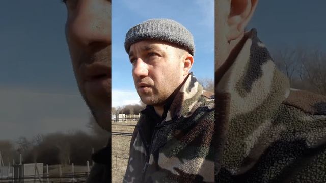 Выращивание малины смотреть онлайн
