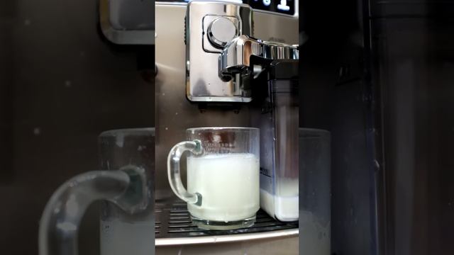 Xelsis in action смотреть онлайн