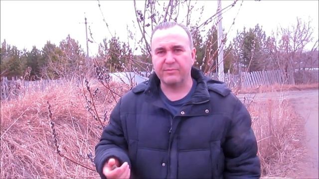 где ловить рой пчел. куда ставить ловушки для пчел. пасека Бакшиш. пчеловодство на Урале смотреть онлайн