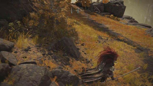 Elden Ring How to find the Legendary Black Knife Location #eldenring #blackknife смотреть онлайн