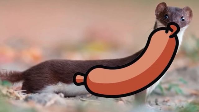 Красная книга - природа в опасности⚠️ смотреть онлайн