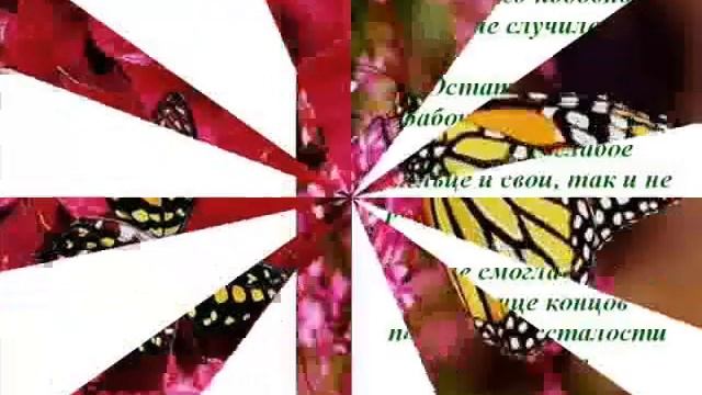 Урок достижения успеха в истории с бабочкой. смотреть онлайн