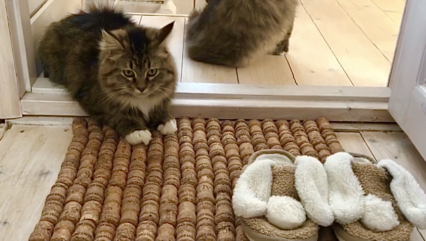 Как сделать Коврик для дома из винных пробок или пробок шампанского Мастеркласс Коврик своими руками смотреть онлайн