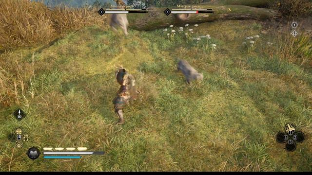 ACValhalla Хамптуншир Легендарное животное Дикие кошки Уилда Темный Уилд