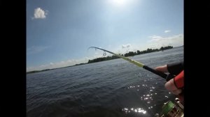 Ловим судака летом на балансир в заброс