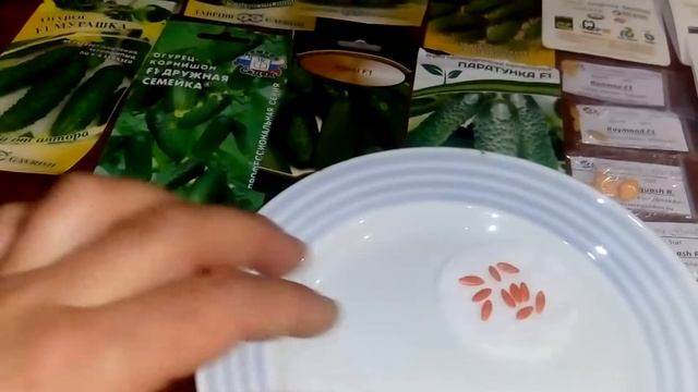 Лучшие сорта огурцов для теплицы. смотреть онлайн