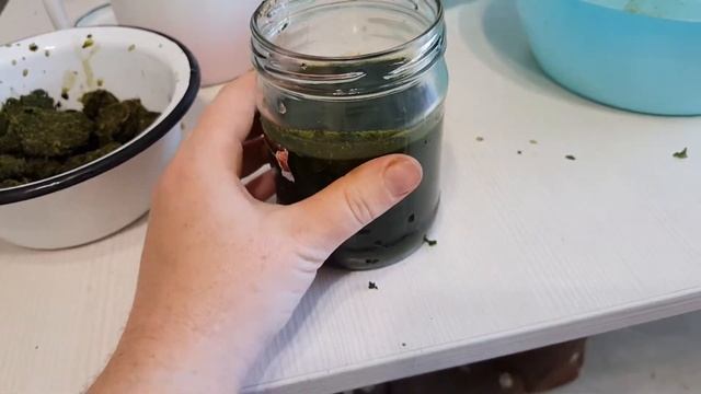 Сок Лопуха 100% от 100 болезней Заготовка с медом и Заморозка. Лечение кист почек