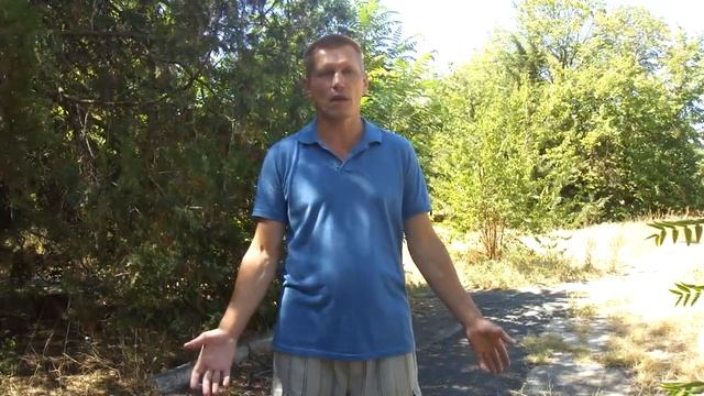 Поиск саргана