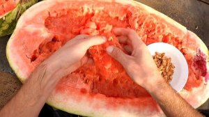 Арбуз гигант: семена с арбуза Carolina Cross