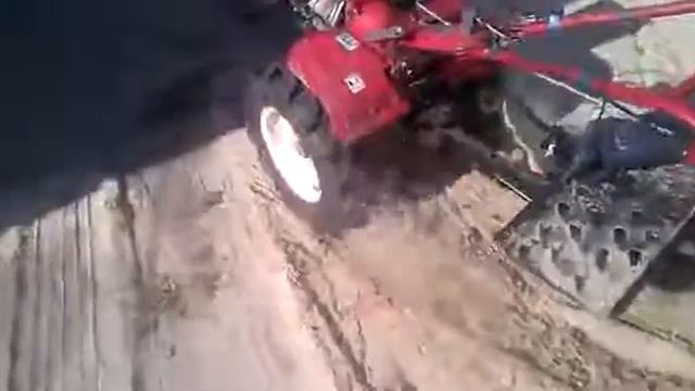 на что этот зверь способен !! смотреть онлайн