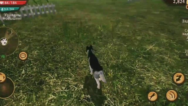 НИКОГДА НЕ ИГРАЙ В DOG SIM НОЧЬЮ ИНАЧЕ...