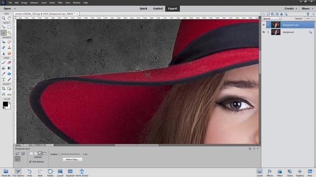Photoshop Elements Tutorial for Beginners Make a White Background смотреть онлайн