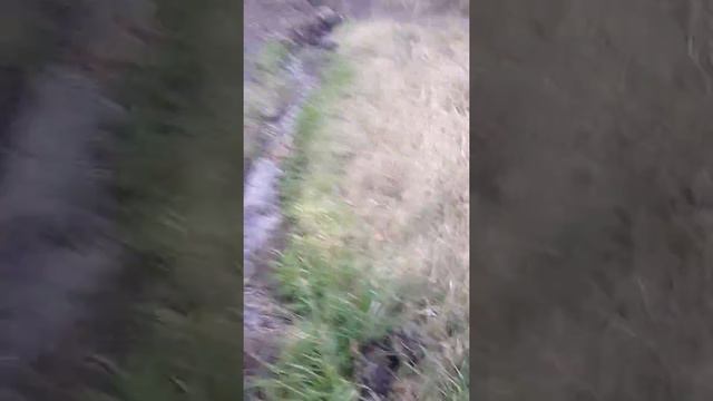 Почему не качает вода? смотреть онлайн