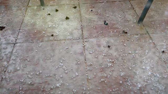 Вот такое доброе утро) смотреть онлайн