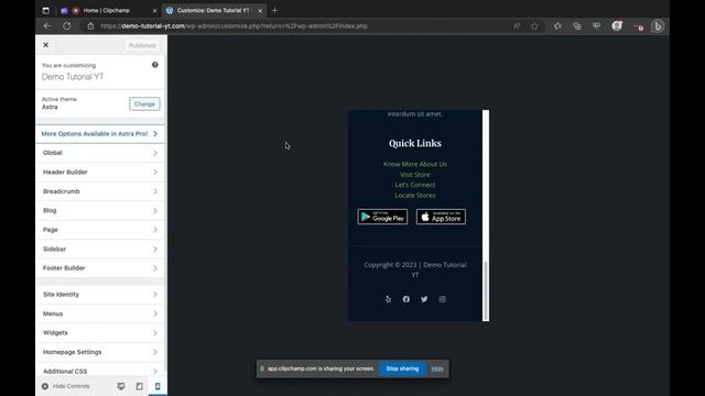 How to View The Mobile Version of WordPress Sites from Desktop смотреть онлайн
