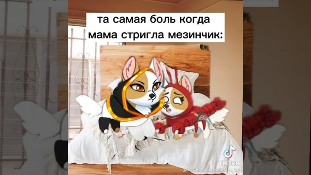🐾~Подборка Dungeon Dogs из Тик Тока • (возможно) 1/🗿~🐾