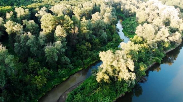#9. Река Хопёр. Воронежская область смотреть онлайн