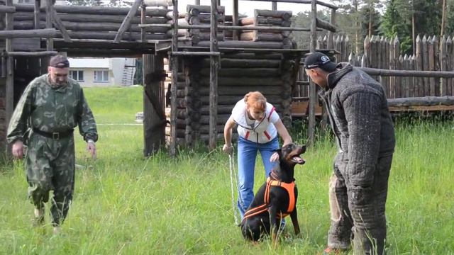 ДОБЕРМАН смотреть онлайн