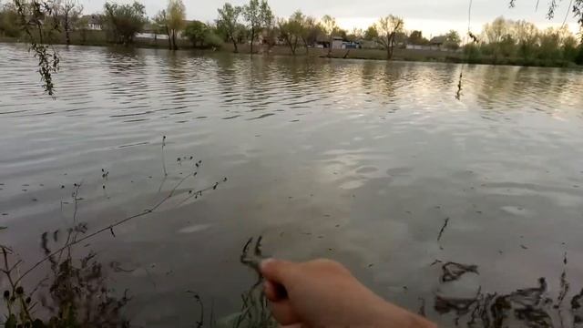 Байки про биогаз от мужиков. Как собрать  биогаз из озера