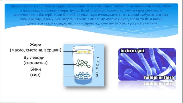 Почему молоко скисает смотреть онлайн