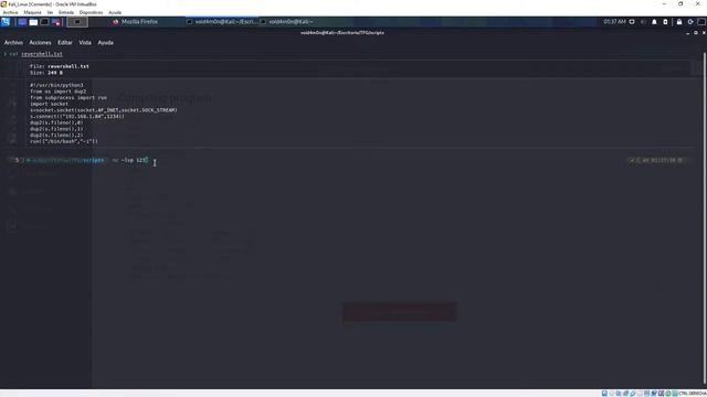 Demo de ataque a OpenPLC | Phishing | Reverse shell por PSM (Python) | Persistencia смотреть онлайн