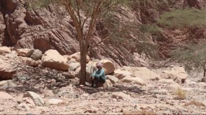 Наш отдых в Дахаб Отель Happy Life Village