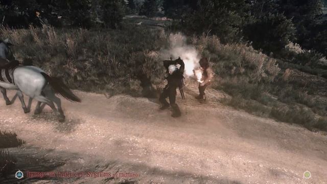 The Witcher 3 Mods #37 Triss Outfit From Witcher 2 & Improved Particle Systems