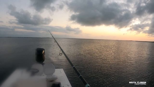 How to catch Trout in the Florida Keys {catch and cook} смотреть онлайн