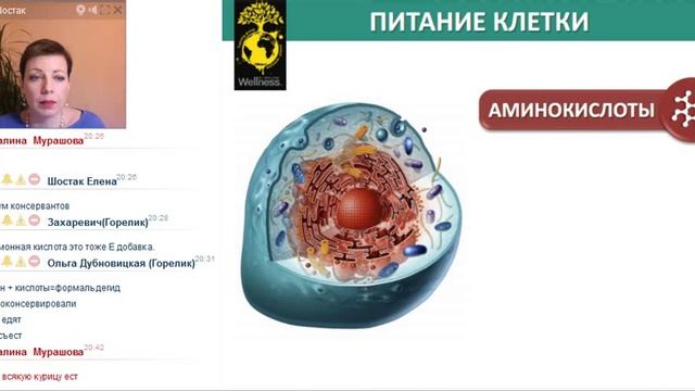 Здоровые дети - счастливые родители смотреть онлайн