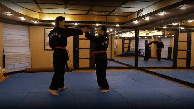 Demonstration of Hapkido - Poongryu Hanmooye смотреть онлайн