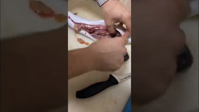 Морской угорь с сюрпризом смотреть онлайн