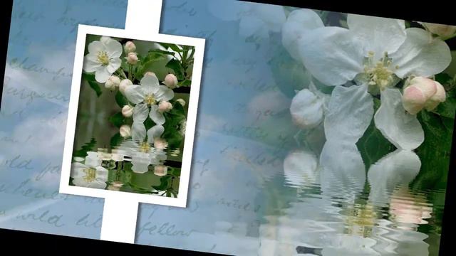 Можевикину Юрию смотреть онлайн
