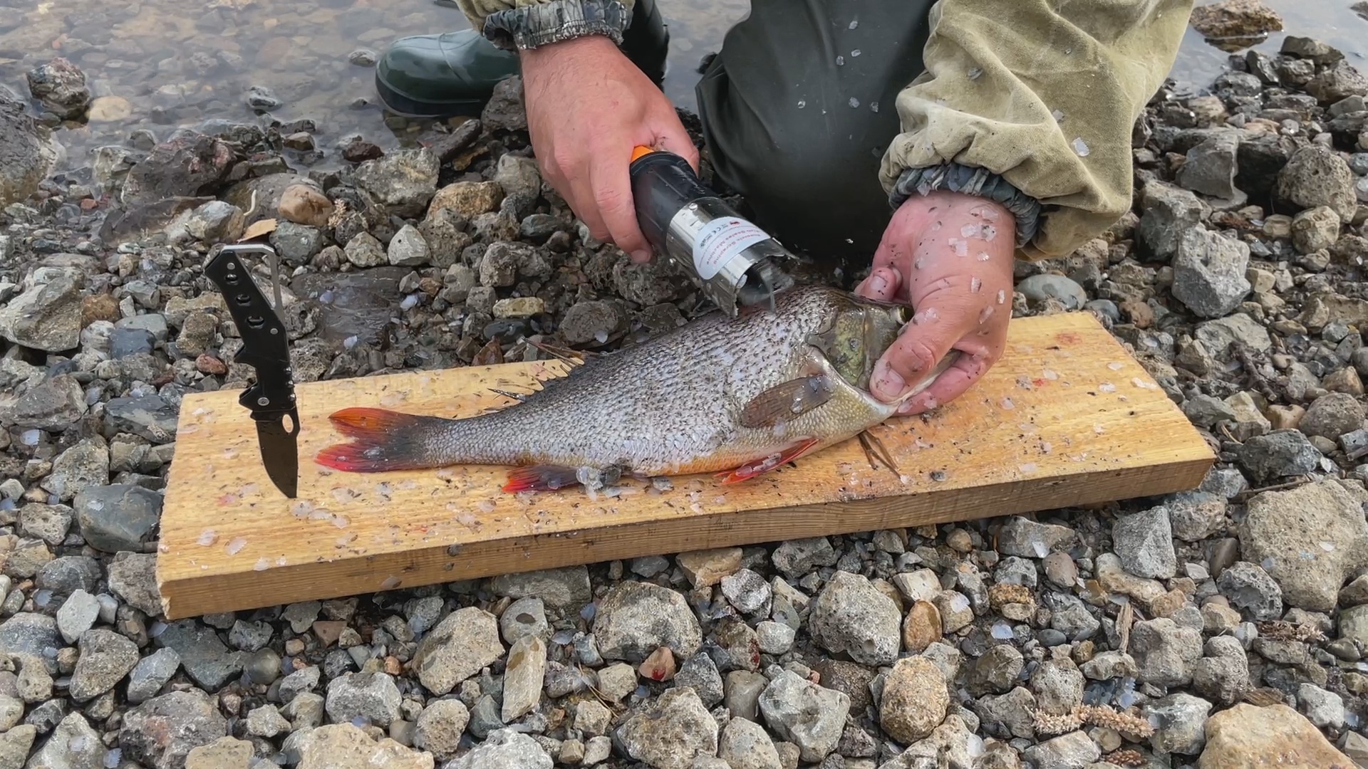 Как быстро почистить окуня смотреть онлайн