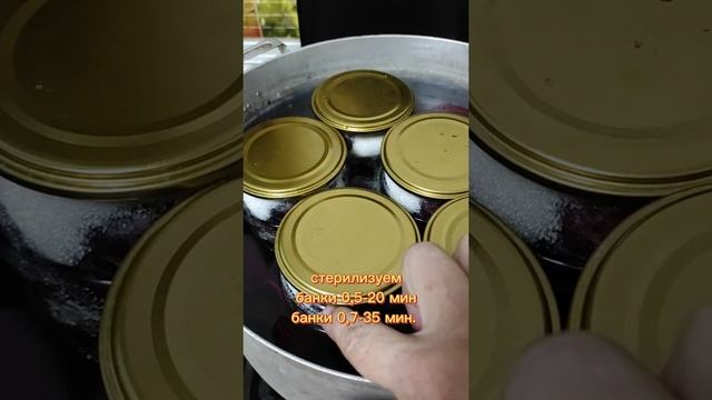 Слива в собственном соку. смотреть онлайн