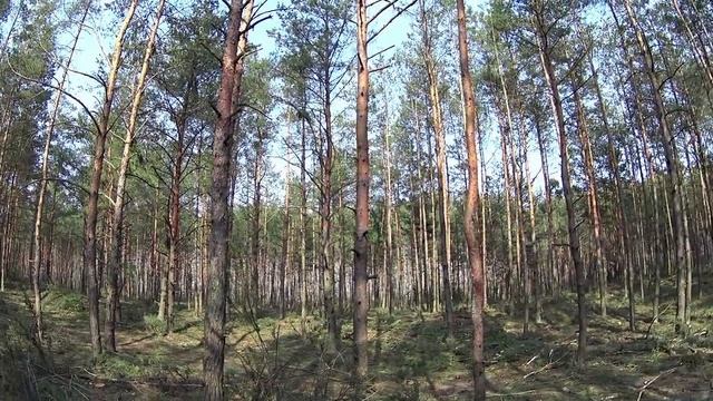 БАБКА ГРЭННИ ПРЕСЛЕДУЕТ НАС в ЗАБРОШЕННОЙ ДЕРЕВНЕ! GRANNY против СИРЕНОГОЛОВЫХ! // юсшоу