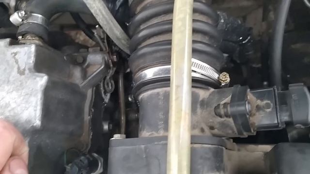 Вывел сапун и результатом очень доволен смотреть онлайн