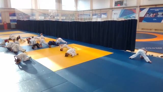 тренировка детской группы по дзюдо 19.08.21 (18:30) смотреть онлайн