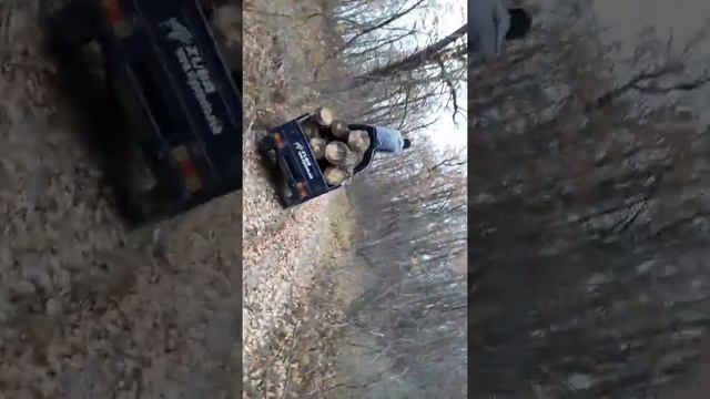 Муравей 4т Грузовой трицикл! Вайпер зубр смотреть онлайн
