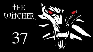 The Witcher / Ведьмак - Остров Виверн - Прохождение игры на русском [#37] | PC (2016 г.)