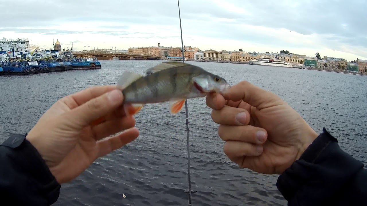 #72 Мормышинг | MUKAI Air Stick AS-1652-S 