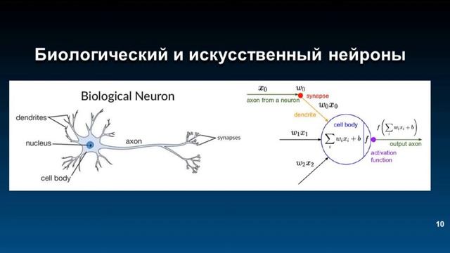 Типы нейронных сетей и модель искусственного нейрона смотреть онлайн