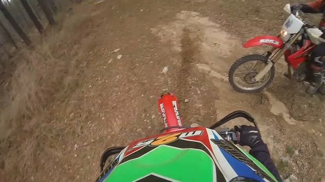 Tree Killer Pt 4 смотреть онлайн