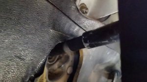 Стуки в рулевой колонке. Газель бизнес. Часть 2.