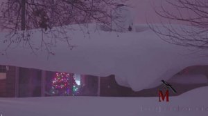 Снежный коллапс в США