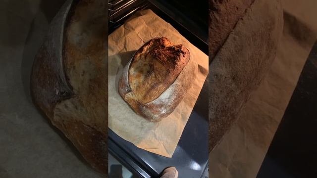 Тартин с грецкими орехами на пшеничной закваске #тартин #французкийхлеб #хлебназакваске смотреть онлайн