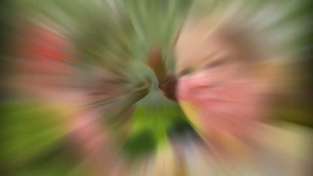 Boki i Loki - Uskrsnja pesma смотреть онлайн