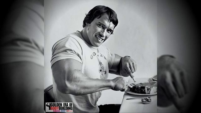 Arnold Schwarzenegger ? - The best photos in High Quality?️ - Vol1 смотреть онлайн