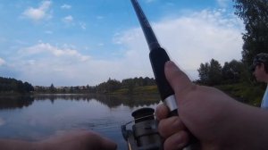 Ловля карпа и белого амура на платнике на фидер