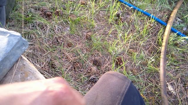 СО3. Ремонт насоса